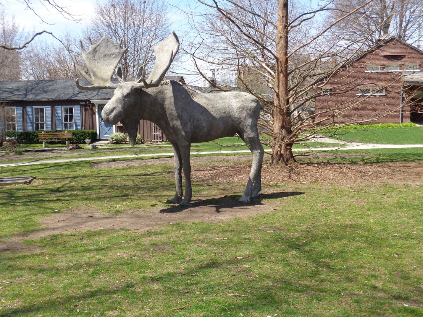 Moose statue or decoration at Erchless Estate