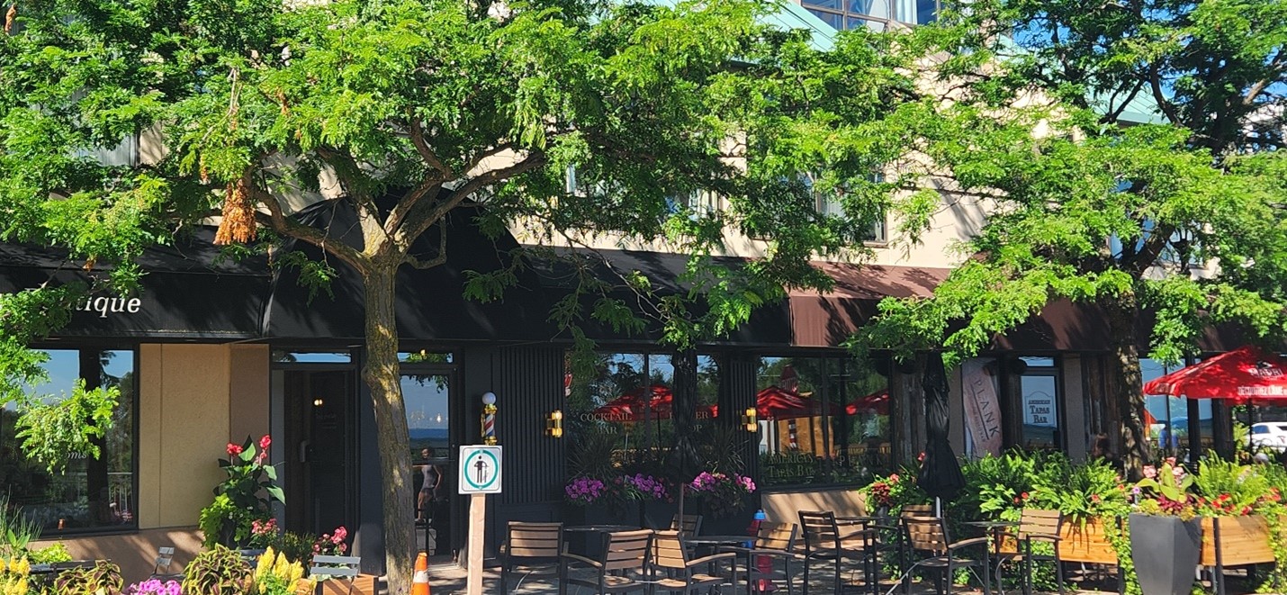 Restaurant and bar in Bronte, Oakville, with trees in front